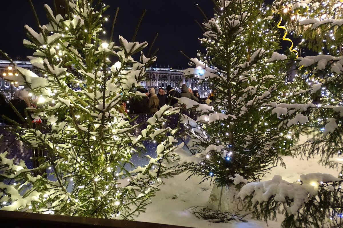 Новогодние елки на Дворцовой площади - Anna-Sabina Anna-Sabina