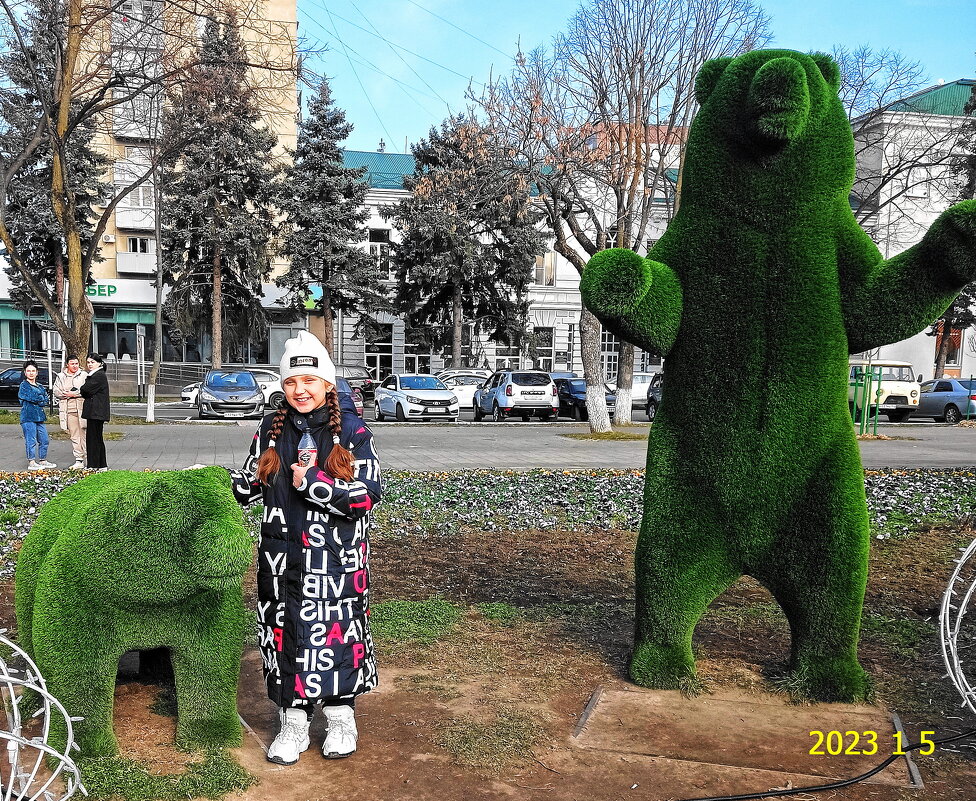 Вероника и медведь - Александр Владимирович Никитенко