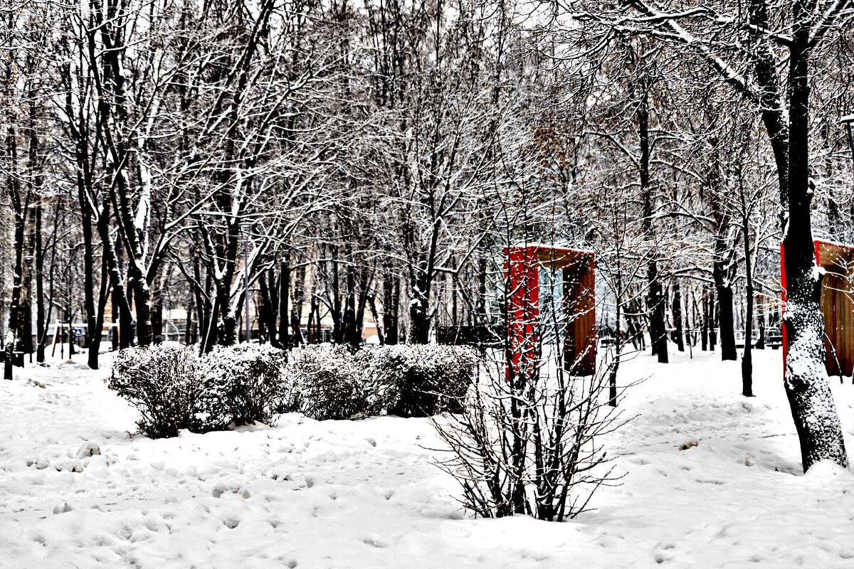 В сквере - Александр 