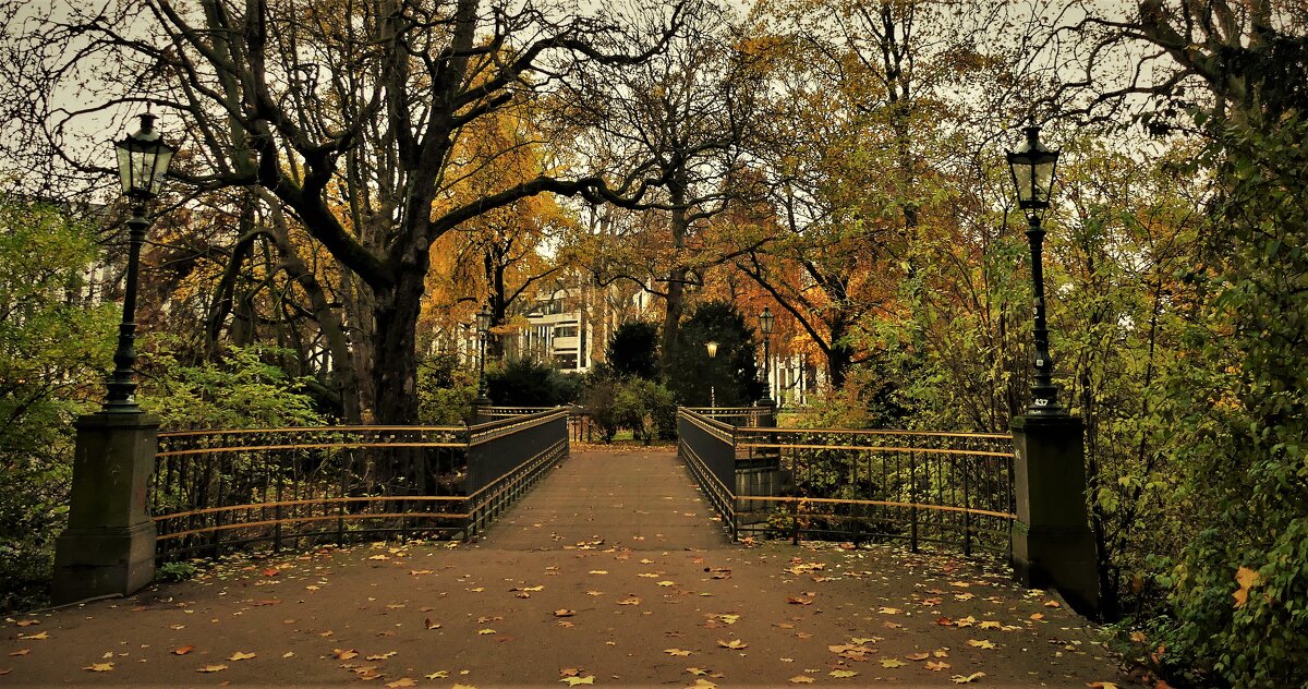 Осень в парках Германии - Владимир Манкер