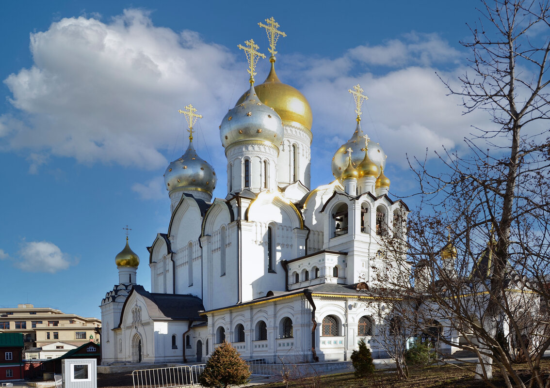 Собор Рождества Богородицы. Зачатьевский монастырь - Oleg4618 Шутченко