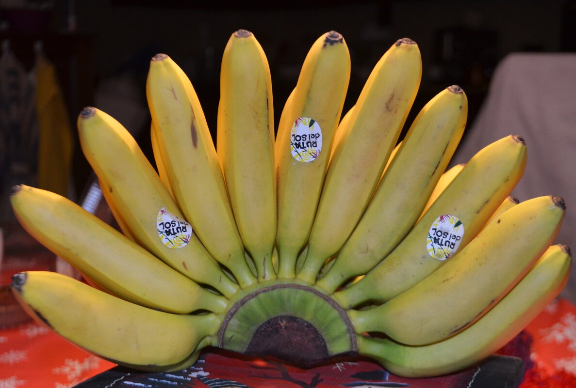 бананое чудо - Savayr 