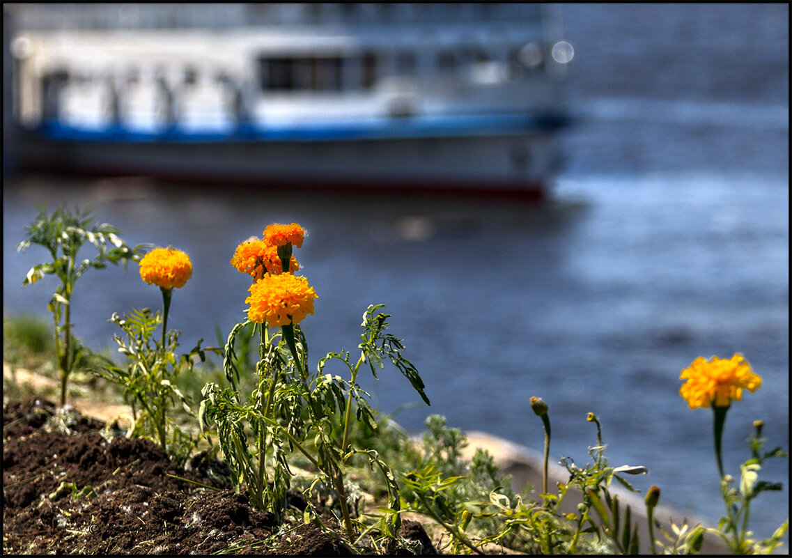 Весна в порту - Александр Тарноградский