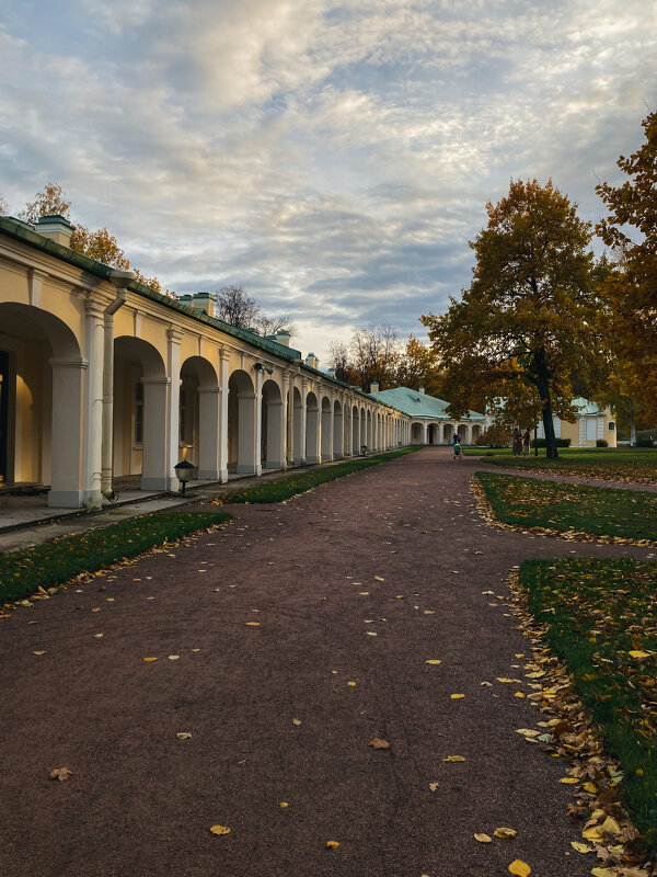 Дворец - Юлия Бабаева