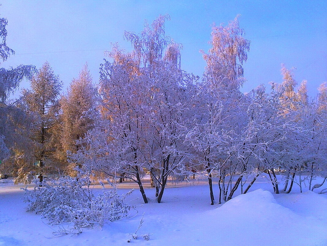 Красота зимы - Людмила Смородинская