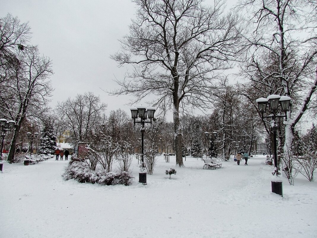 Первый снег - Роман Савоцкий