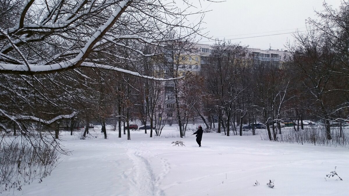По первому снегу - Galina Solovova
