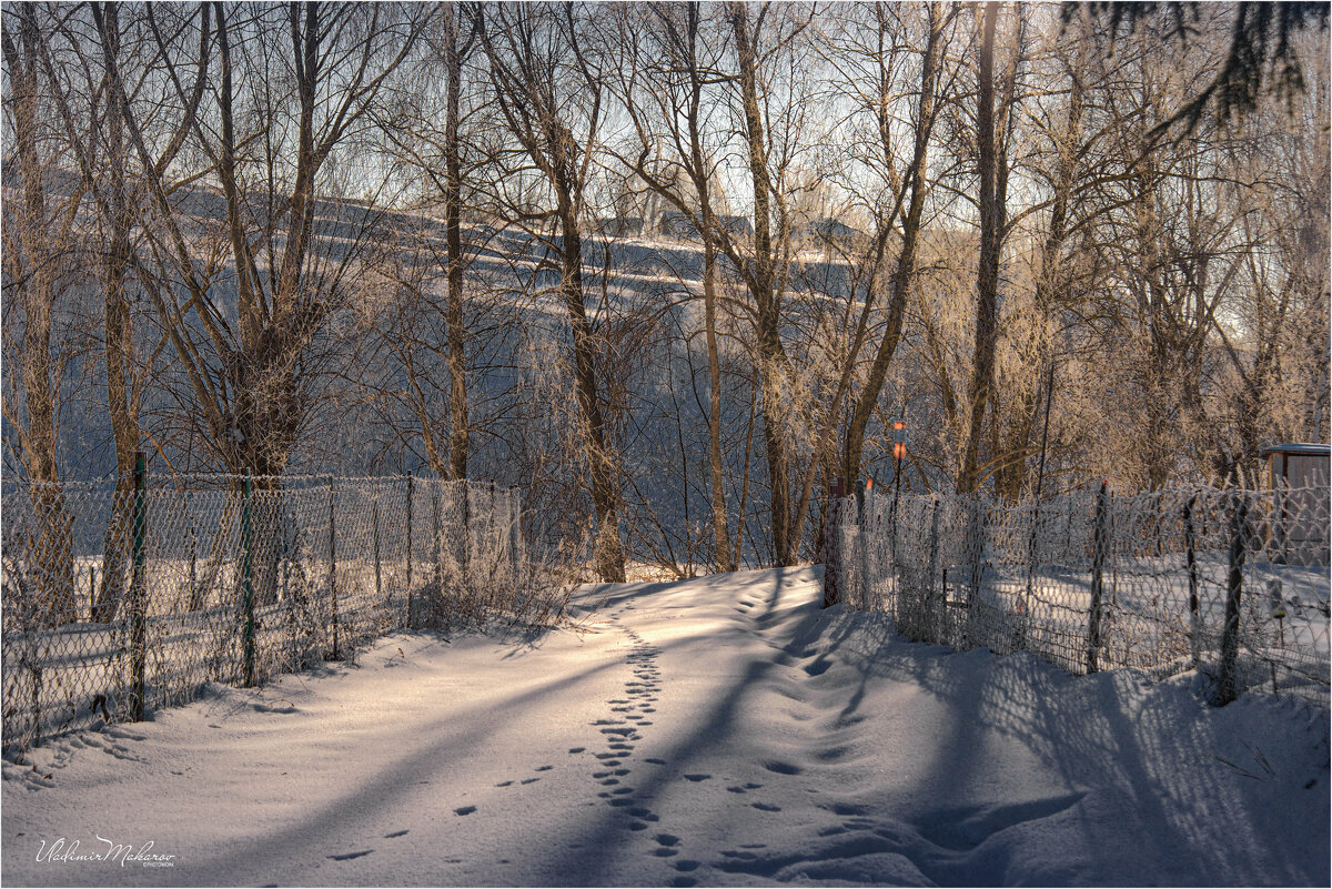 "Свет тень снег след"© - Владимир Макаров