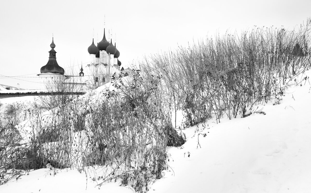 Зима - Дмитрий Близнюченко
