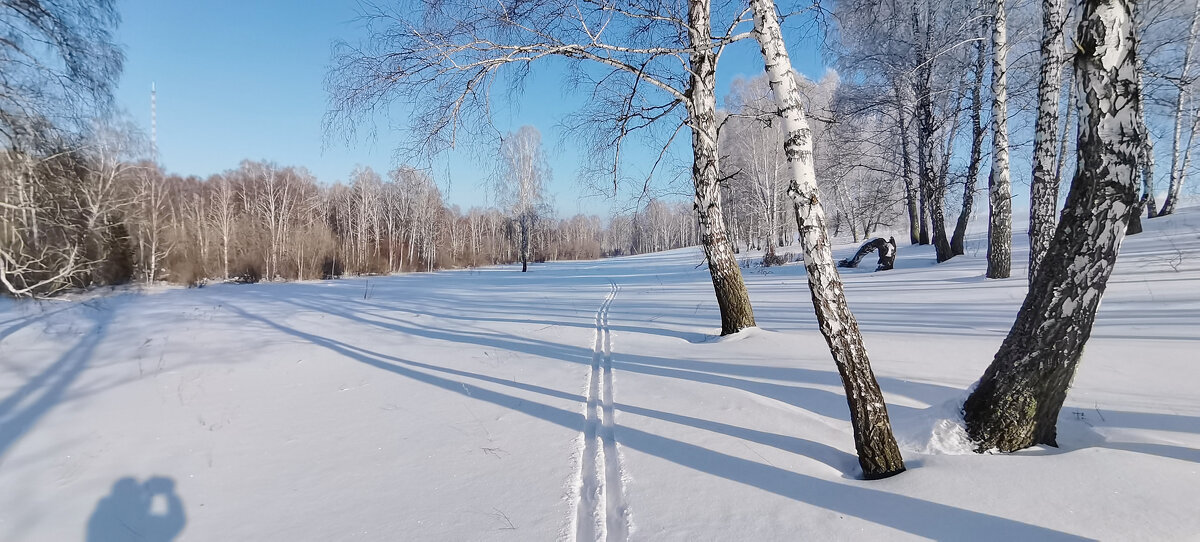 зимний пейзаж - Николай Мальцев