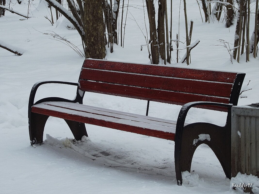 В парке старая скамейка впала в дрёму зимних дней, белоснежная шубейка согревает спину ей. - Freddy 97