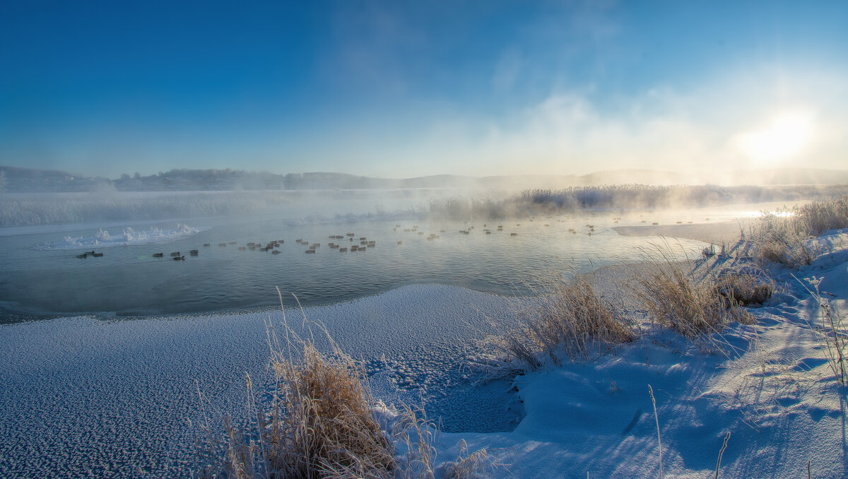 Утро морозное,  синее небо - Vladimbormotov 