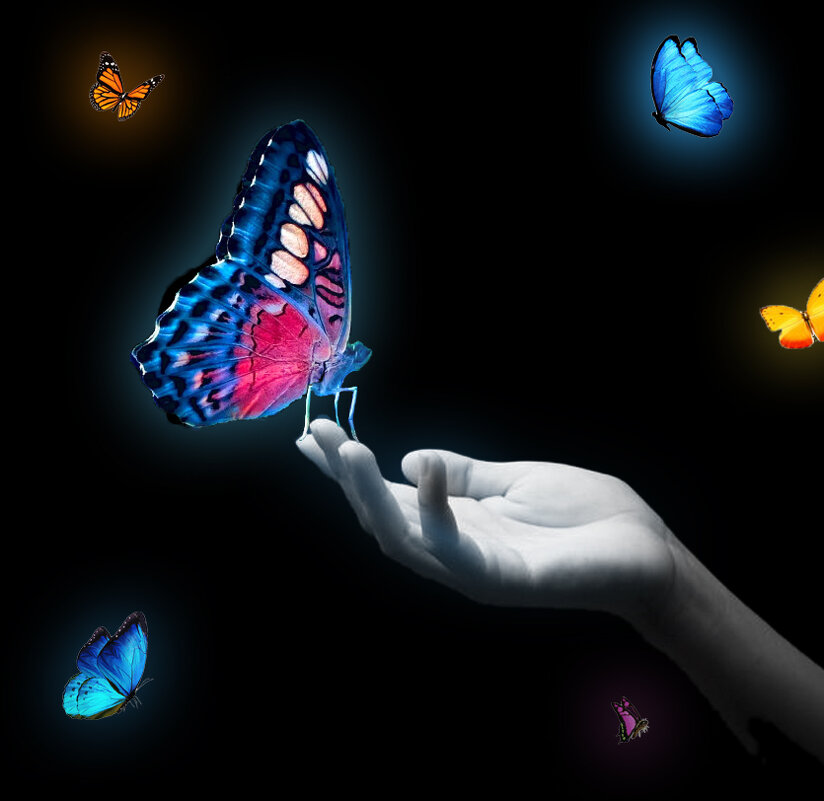 Бабочки - Алексей Милов