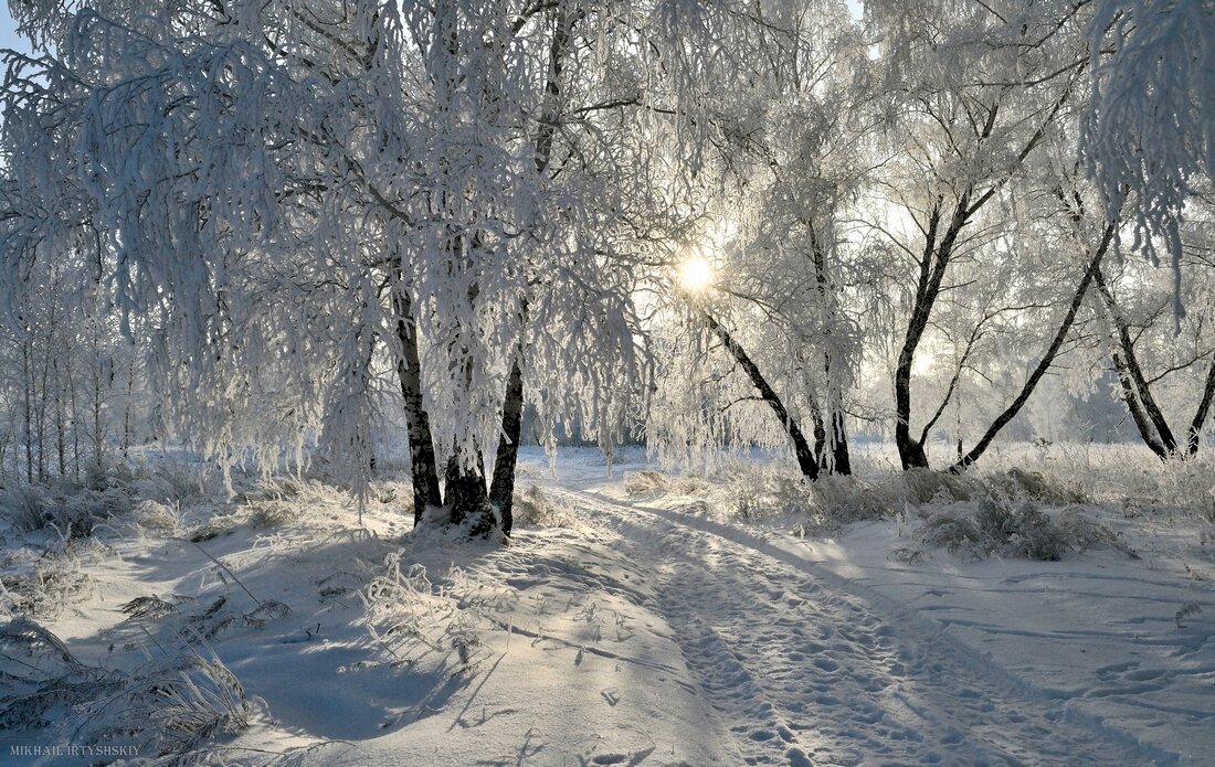 Зимние прогулки - Mikhail Irtyshskiy