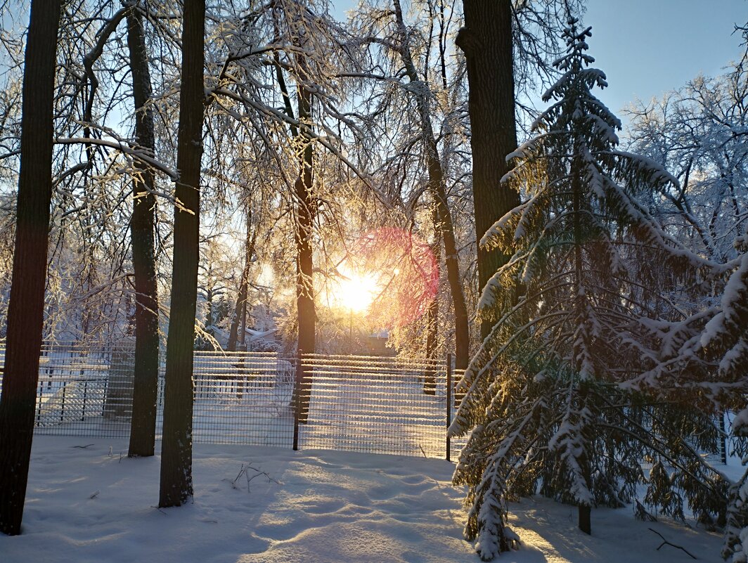 Морозное утро - Павел Петров