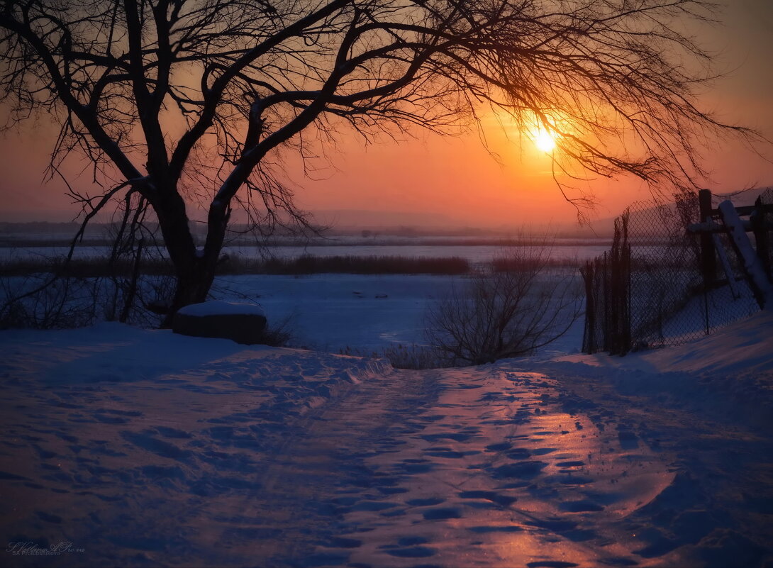 Холодное солнце - Svetlana Prolubshikov@