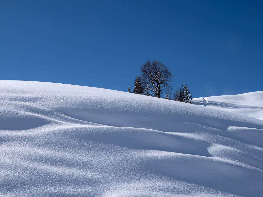 Много снега это красиво. - Сергей Мартьяхин