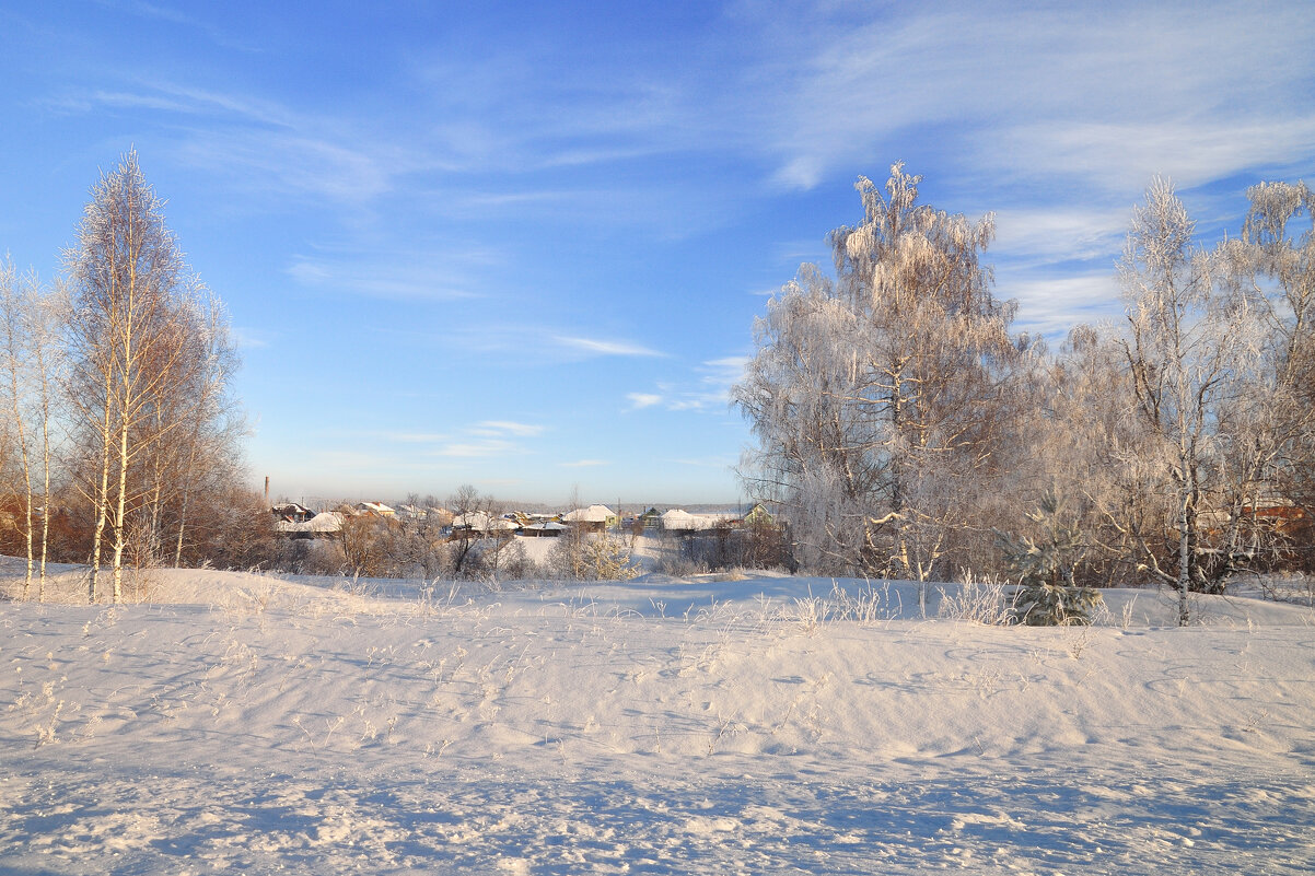 Покрыты снегом дома, деревья - Василий Колобзаров
