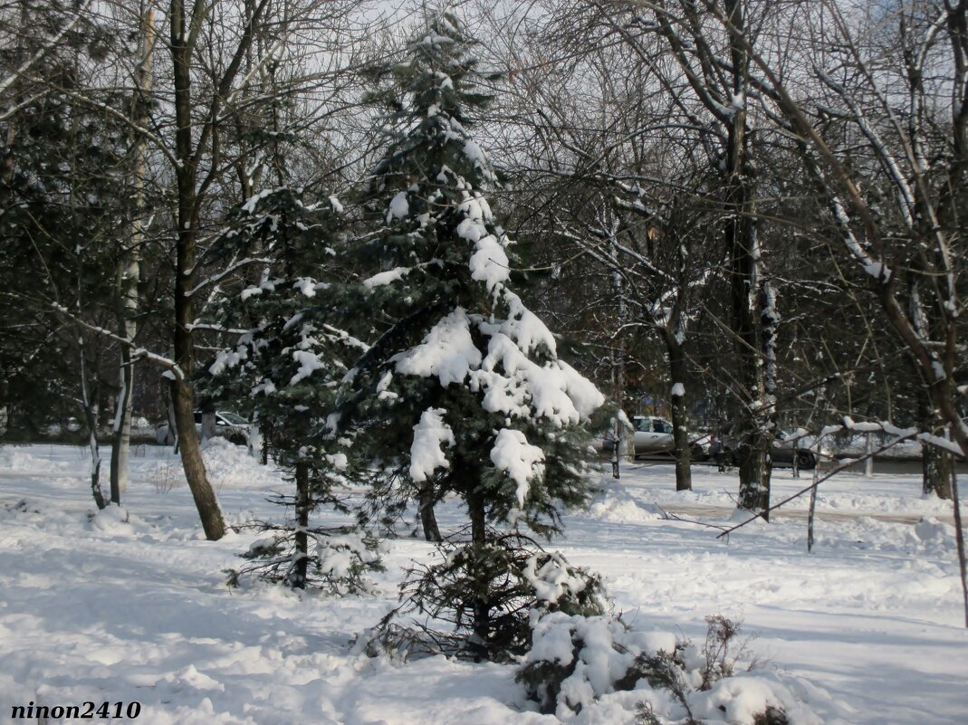 В парке - Нина Бутко