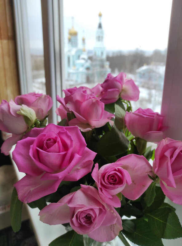 Розы на окне - Ната Волга