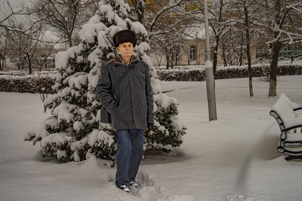 Прогулка по снегу - Анатолий Чикчирный