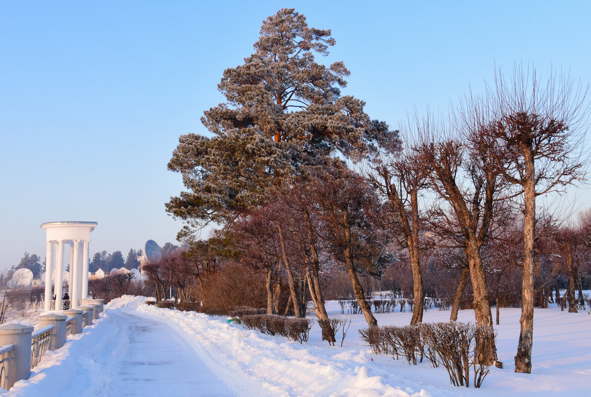 Весна в красноярске картинки