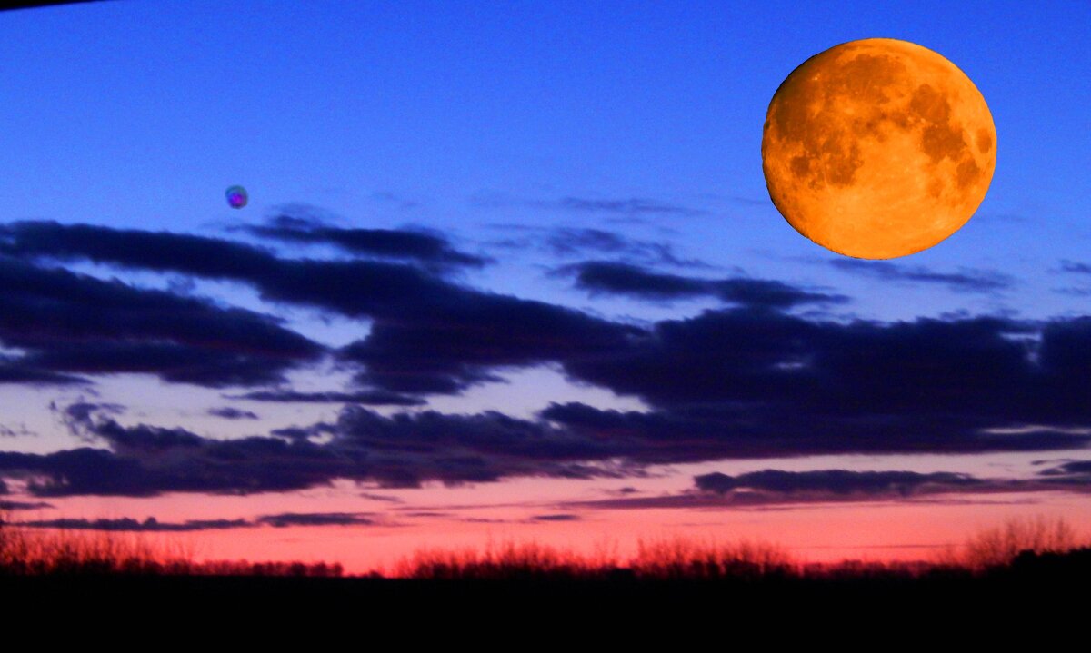 Луна и Спика на рассвете - Alisa Koteva 