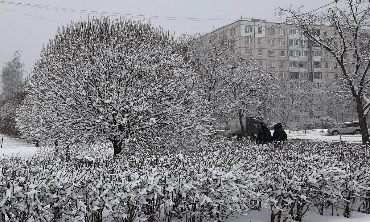 Вот такая весна... - Наталья Герасимова