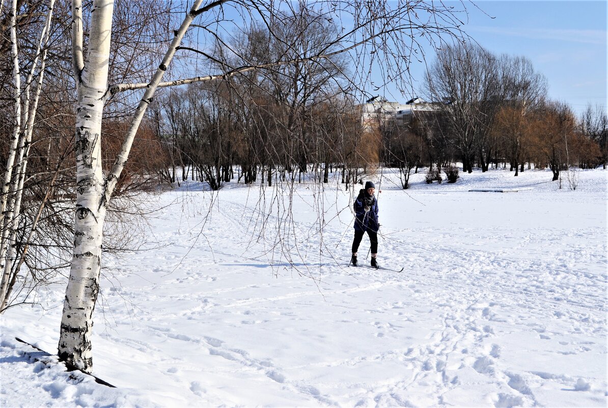 Лыжная прогулка - Василий Палий