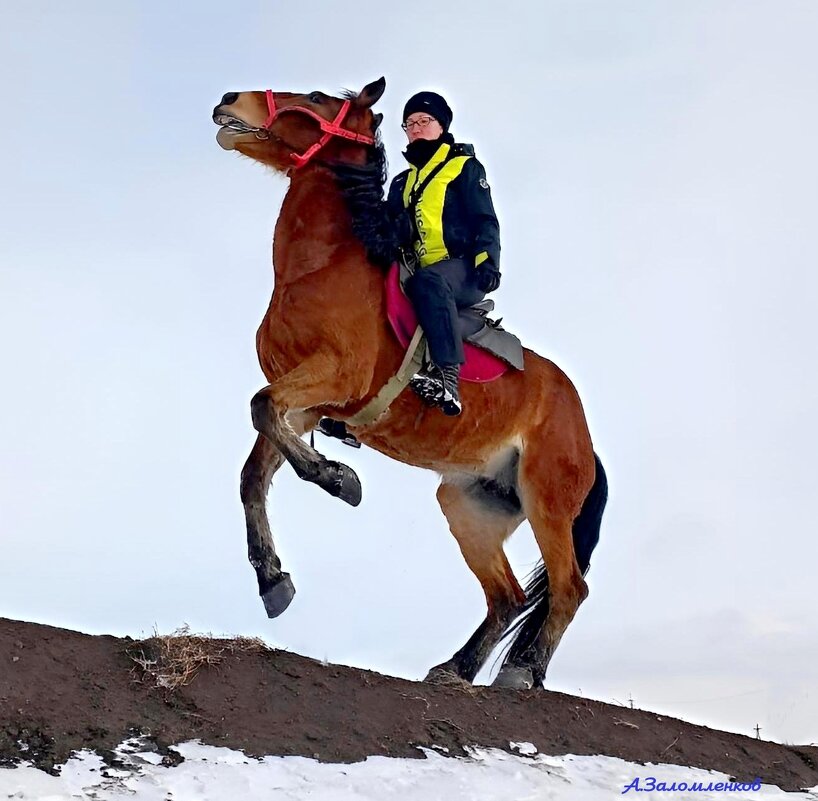 Коня на скаку остановит! :-) - Андрей Заломленков (настоящий) 