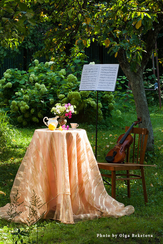 Натюрморт со скрипкой в саду - Ольга Бекетова