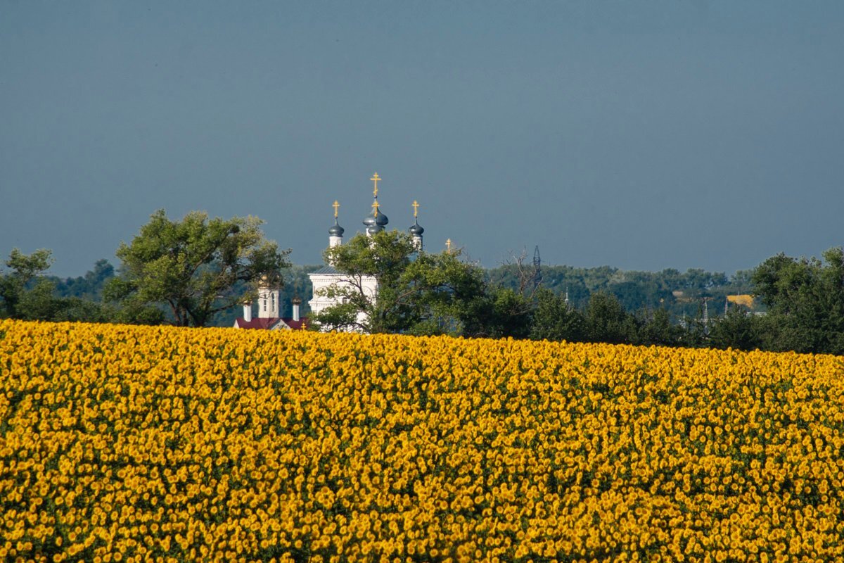 У ріднім краю - Александр Крупский