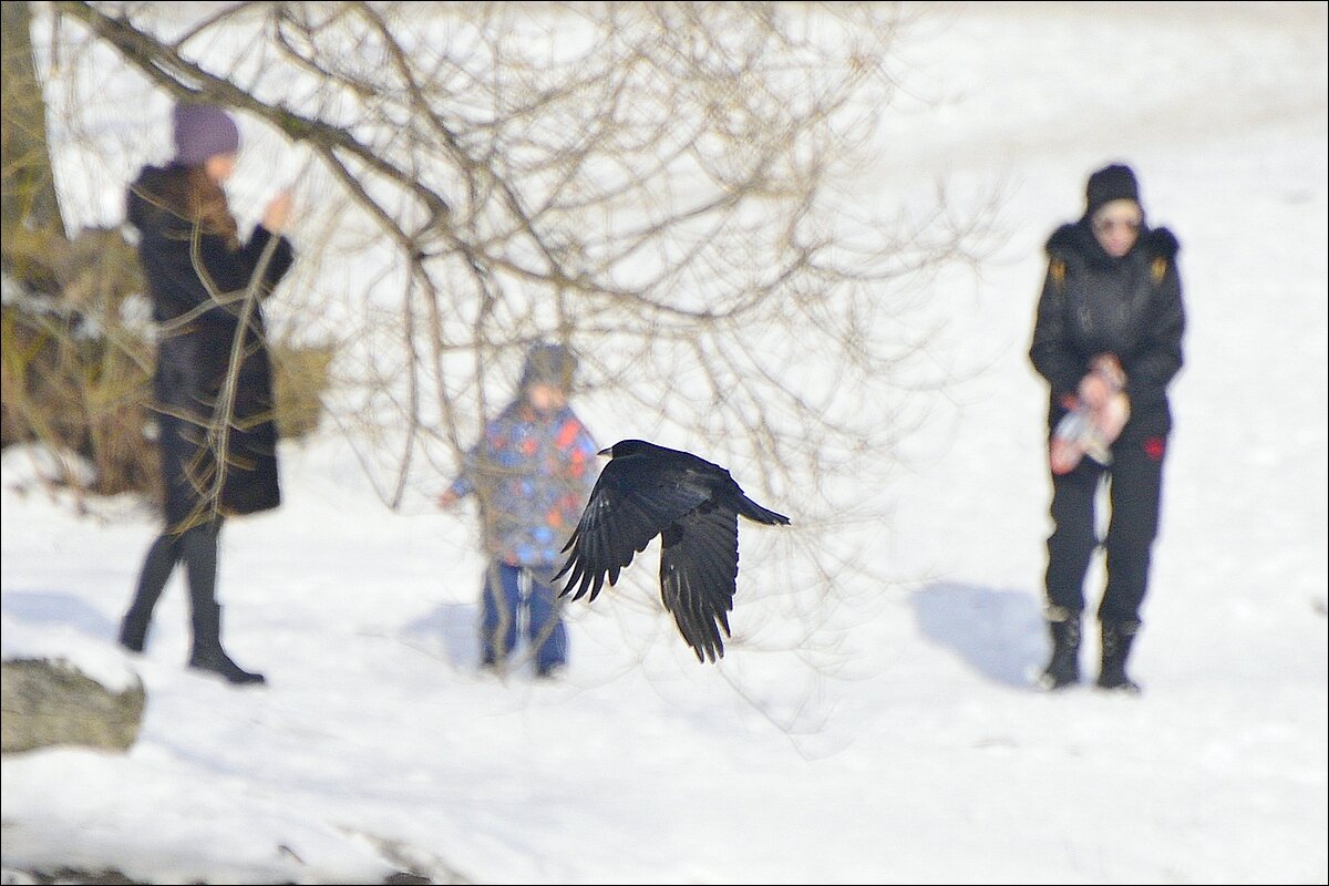 полёт в кадре - Сеня Белгородский