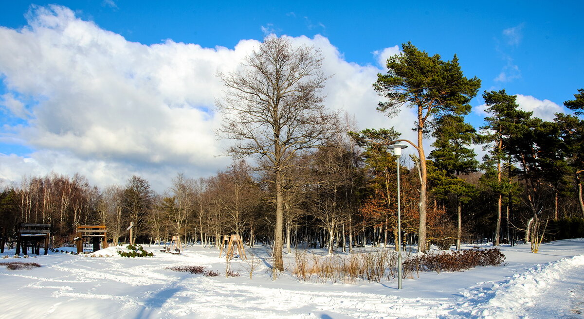 Ziemas parks - Roman Ilnytskyi