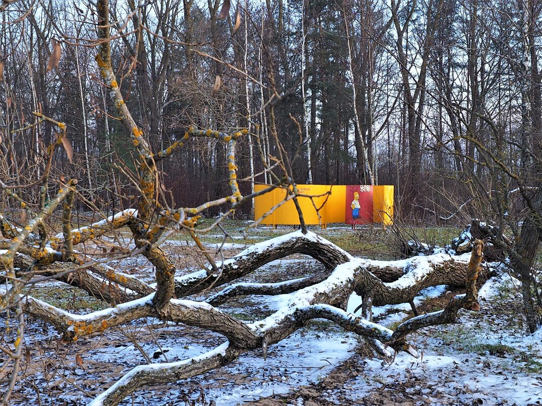 Загородняя прогулка на исходе зимы. - Leonid Voropaev