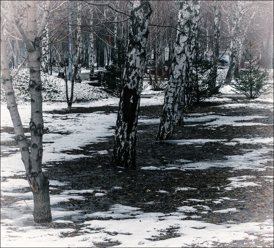 Март - Александр Тарноградский