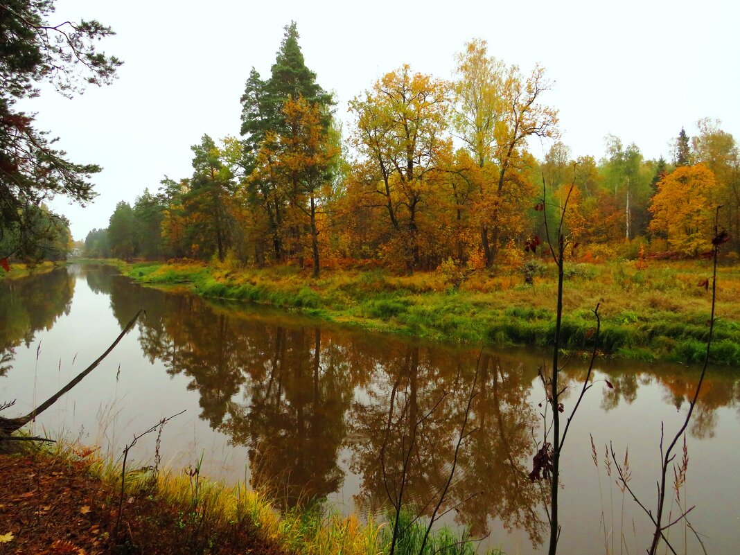 Осенняя река - Андрей Снегерёв