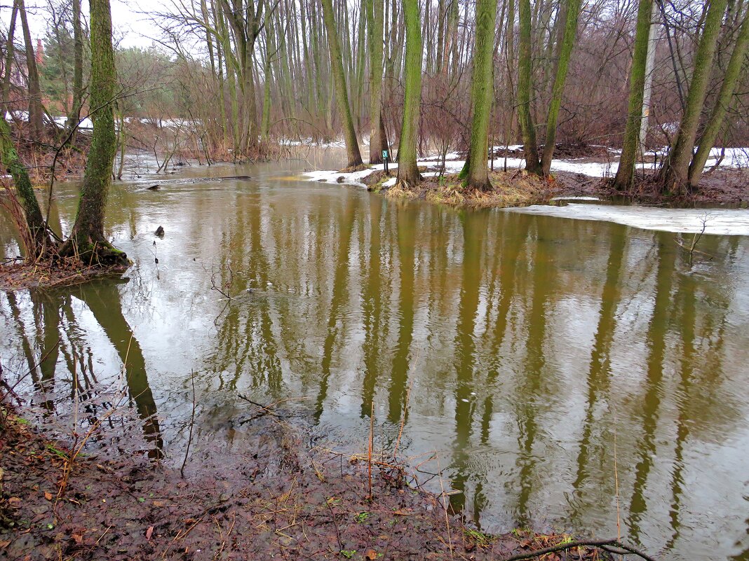 Отражение в талой воде - Андрей Снегерёв