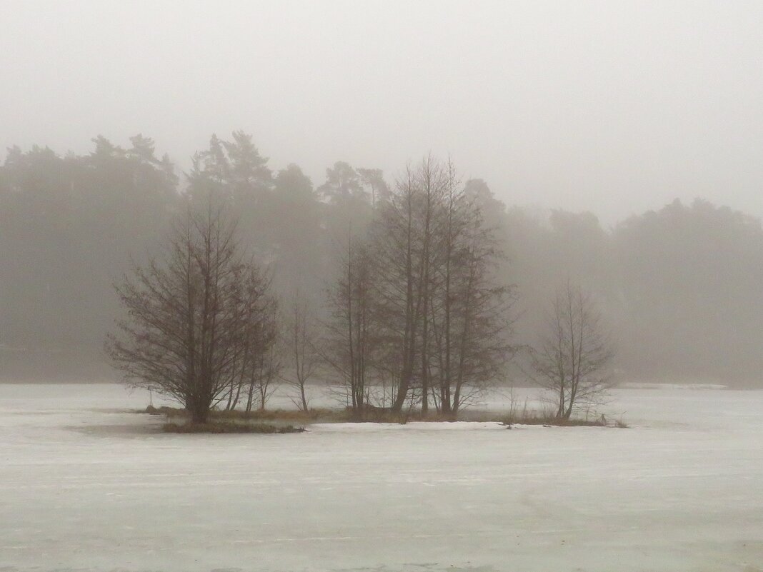 Туман над озером - Андрей Снегерёв