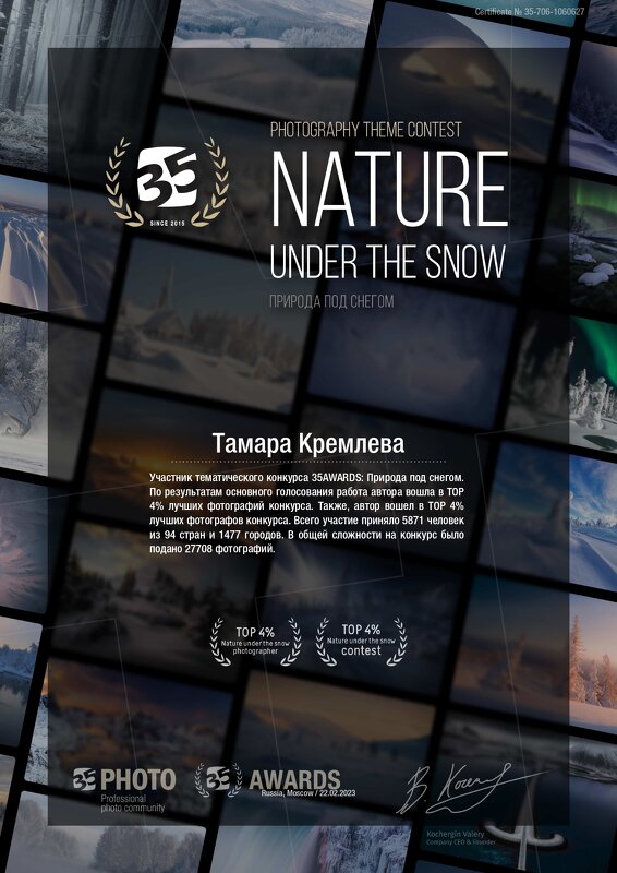 Природа под снегом - tamara kremleva