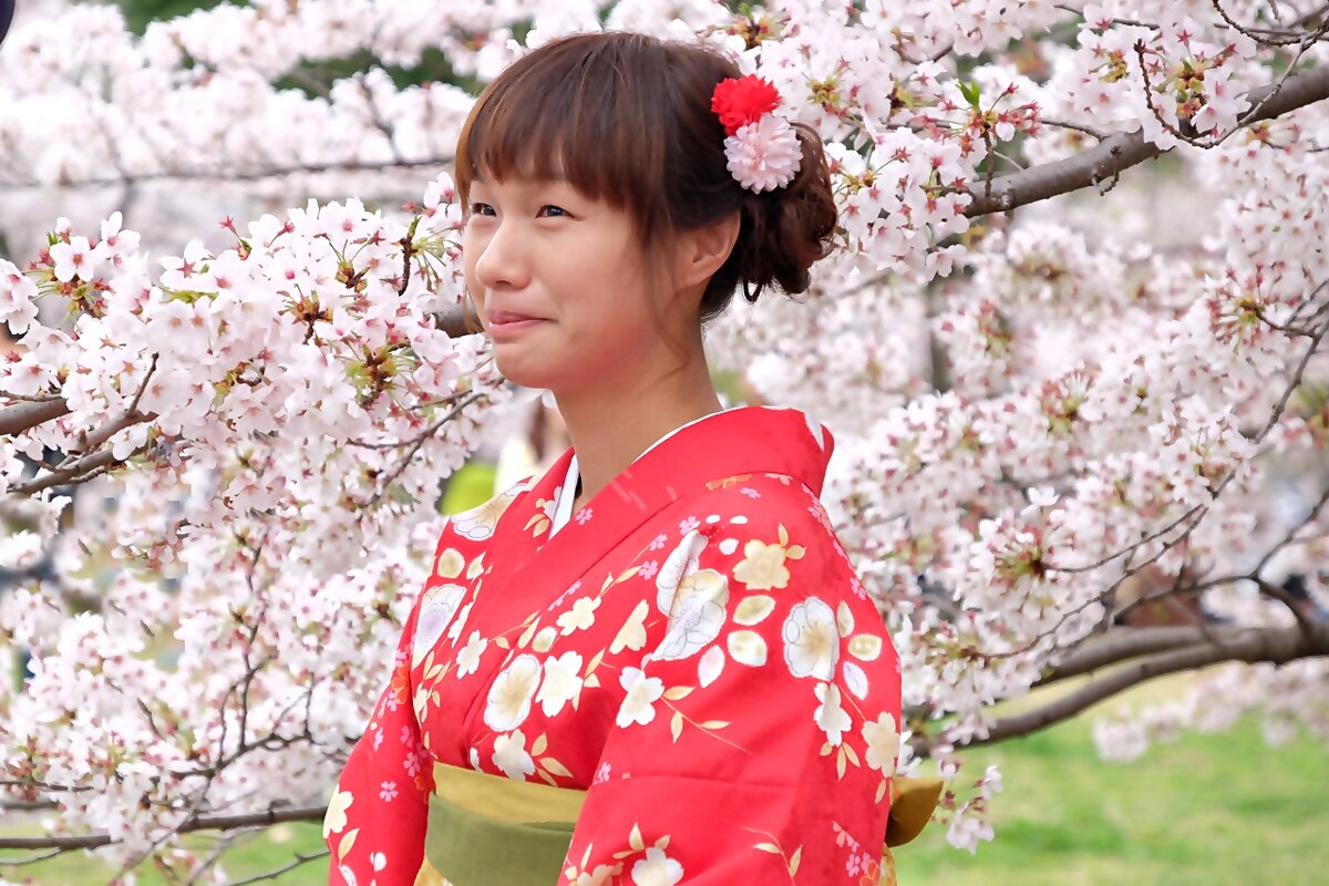 Японская весна  Киото Япония - wea *