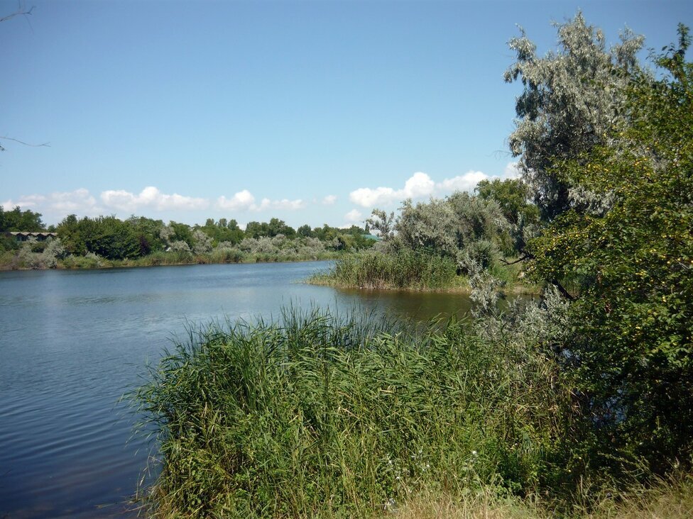 Река - Вера Щукина