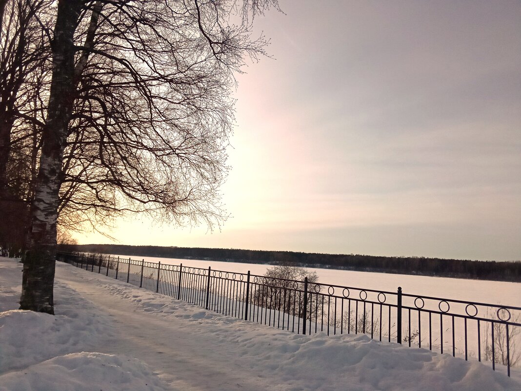 Нева. Зимний день в парке Кировска - Фотогруппа Весна