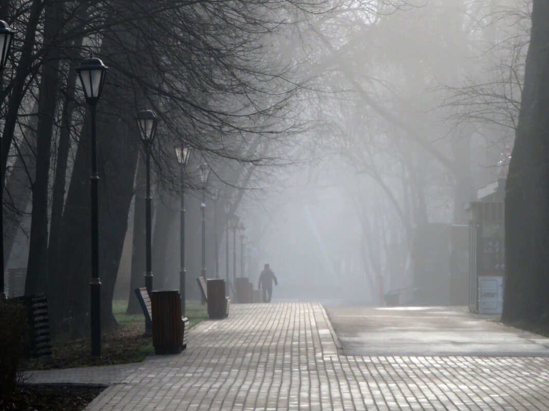 Утренний туман (3). - Егор Бабанов