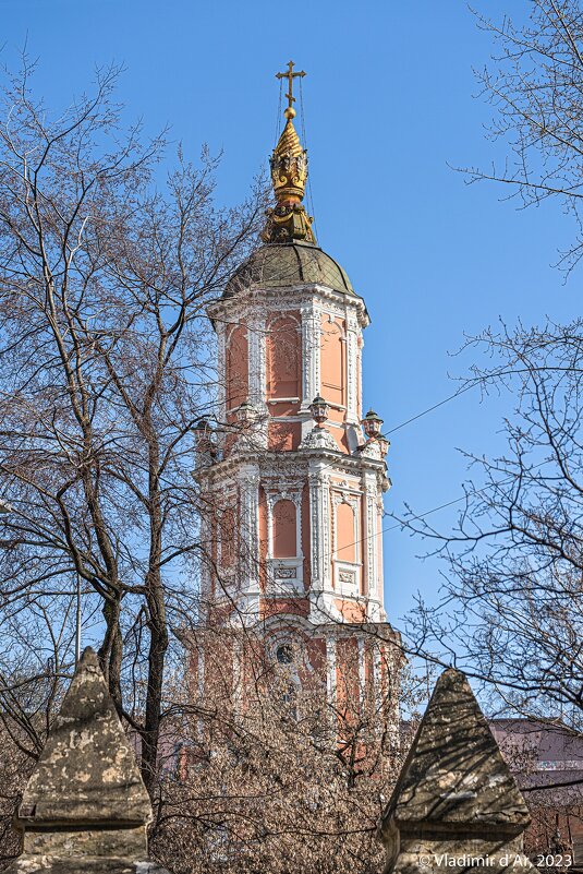 Меншикова башня - Владимир Дар