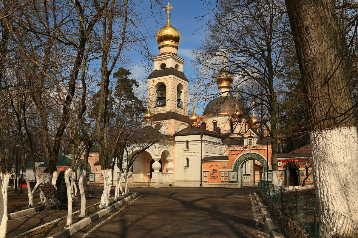 Переделкино - Ninell Nikitina