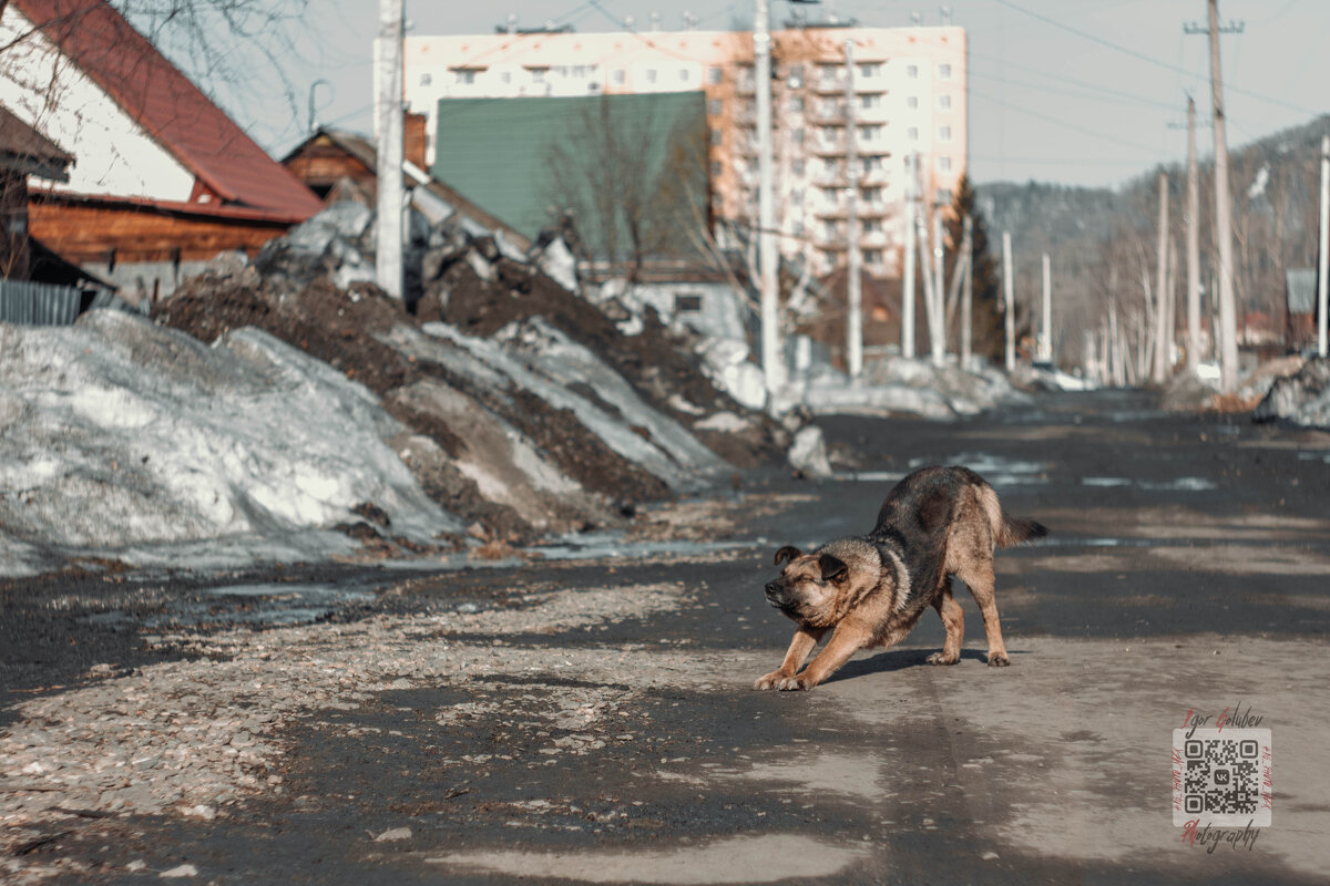 Солнечное утро - Игорь 