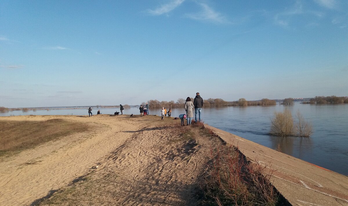 Апрельским днём на берегу реки - Galina Solovova