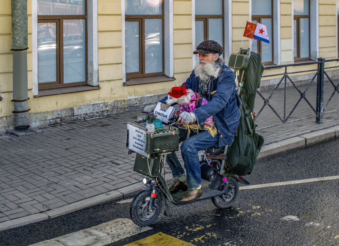 Рокер отжигает - Стальбаум Юрий 