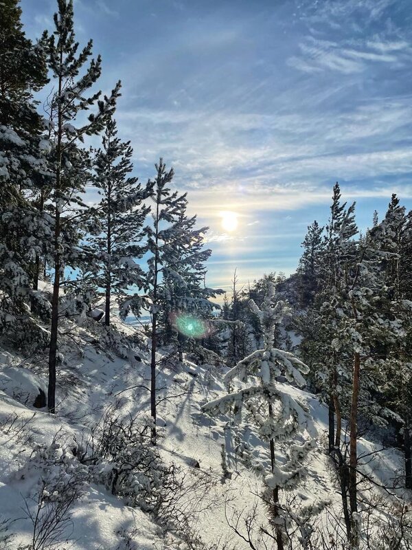 Зима в горах - Георгиевич 